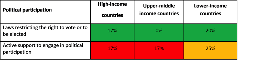 Our voice - Participation in Political and Public Life